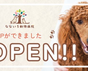 blog1