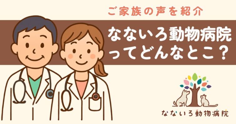 説明が丁寧で、心から安心できました