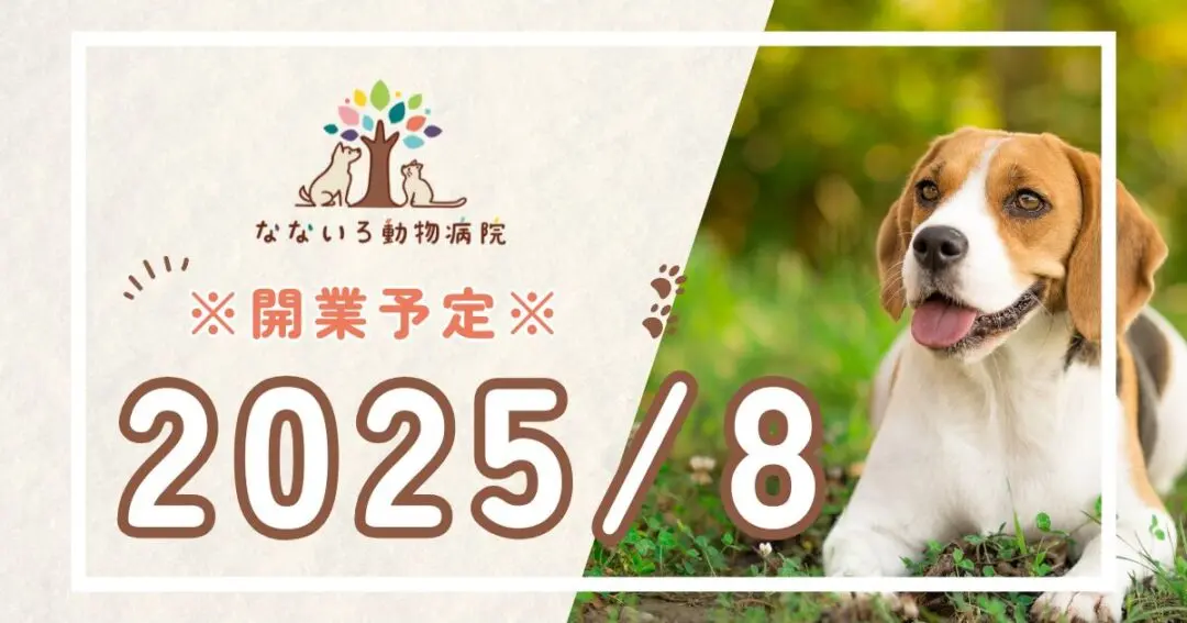 2025年8月開業予定 - 静岡県焼津市 なないろ動物病院 - 愛犬/愛猫の