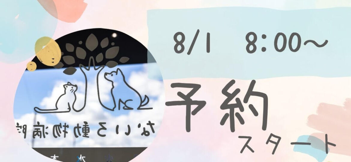 予約開始アイキャッチ