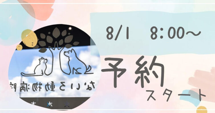 予約開始アイキャッチ