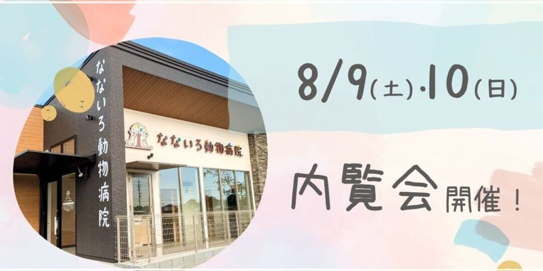 内覧会　アイキャッチ圧縮