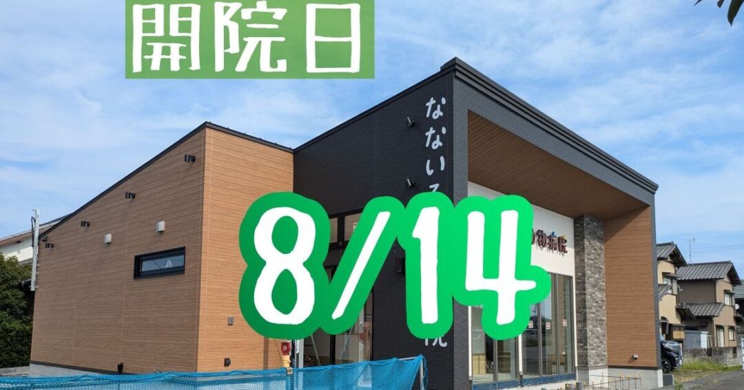 2025-8-14-new-open