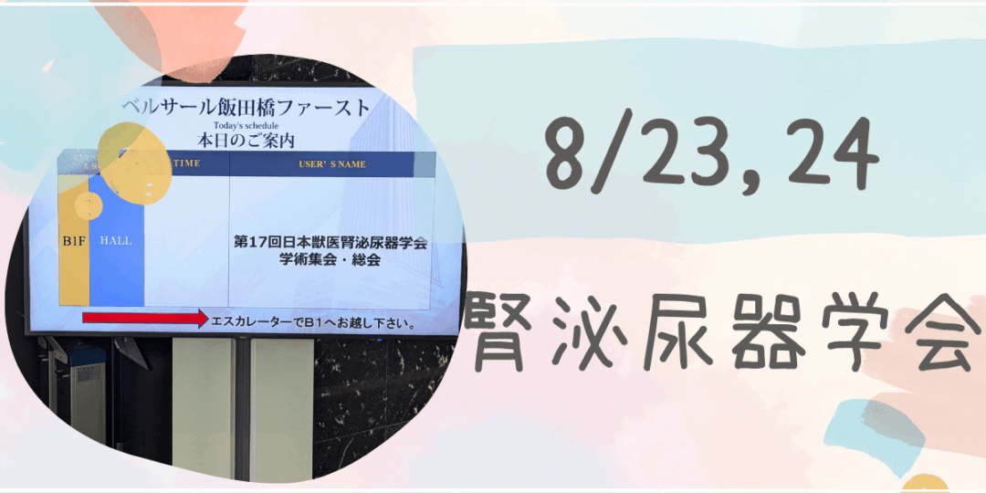 腎泌尿器学会　アイキャッチ