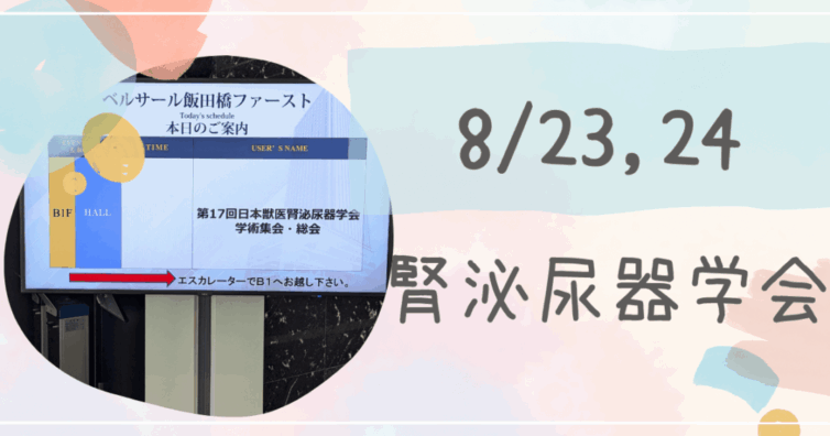 腎泌尿器学会　アイキャッチ