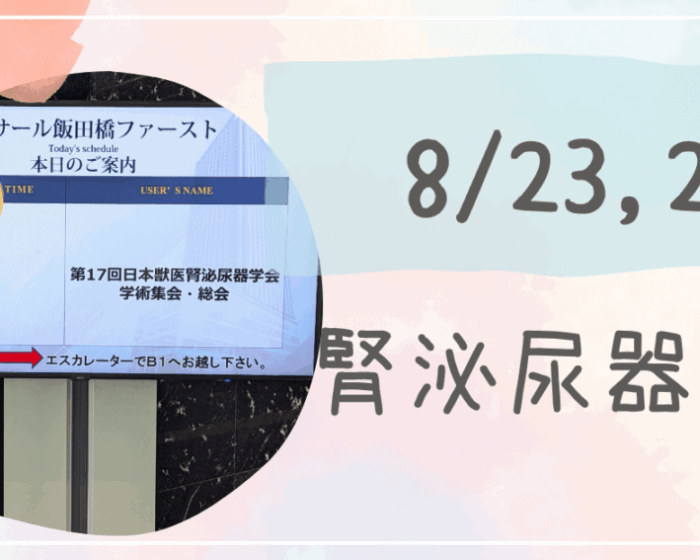 腎泌尿器学会　アイキャッチ
