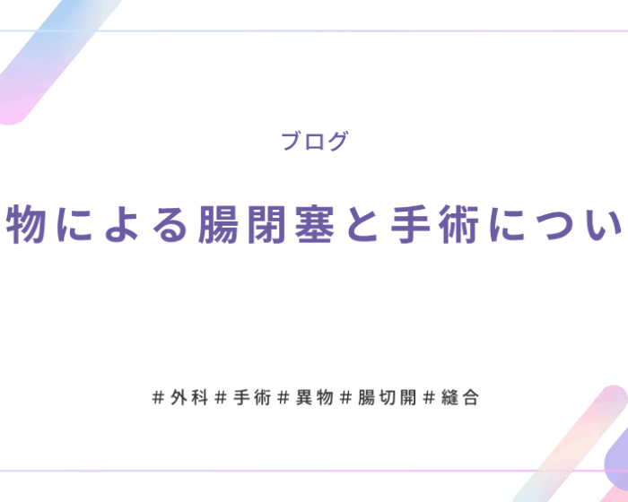 異物による腸閉塞と手術について (1)