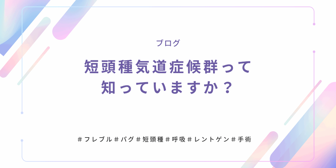 短頭種気道症候群