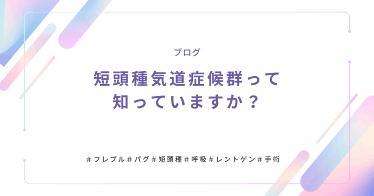 短頭種気道症候群