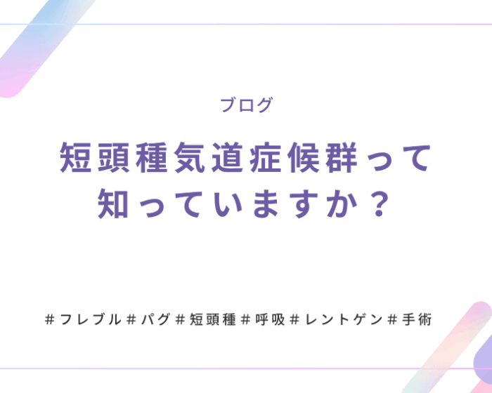 短頭種気道症候群