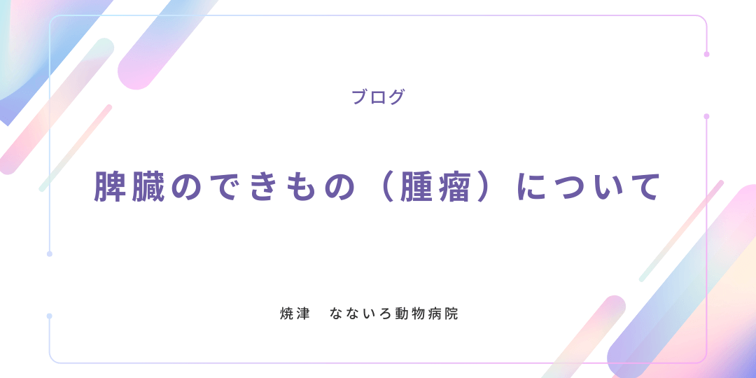 異物による腸閉塞と手術について (1)