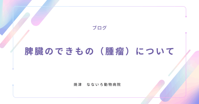 異物による腸閉塞と手術について (1)