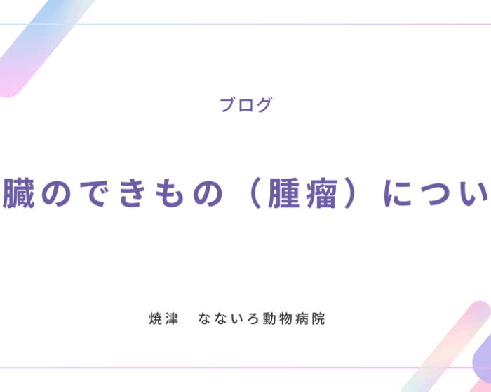 異物による腸閉塞と手術について (1)