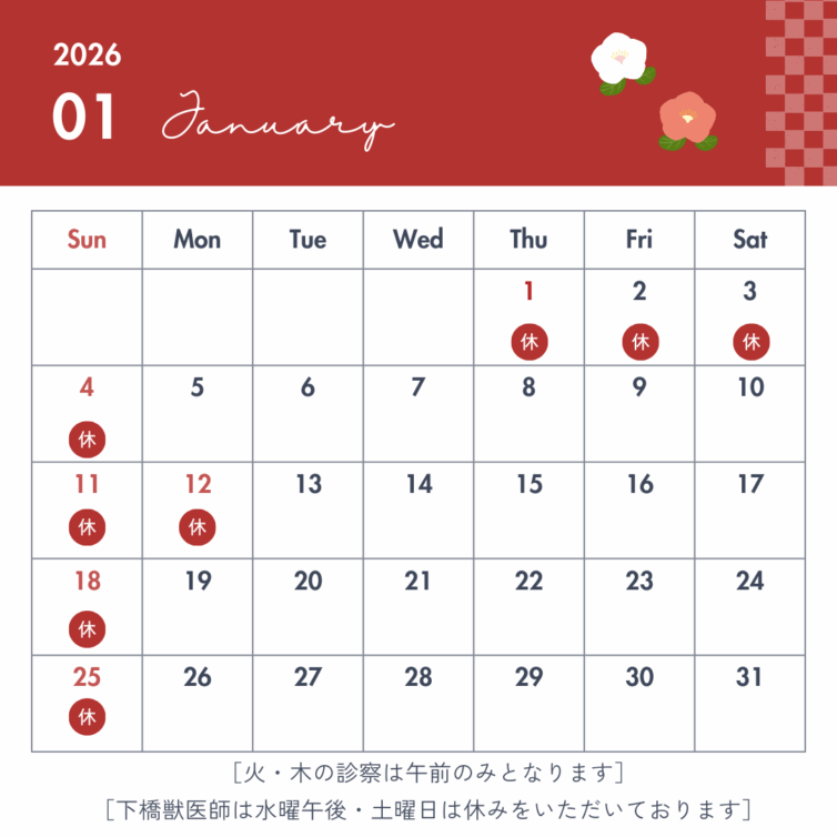 ［定休日］月曜日／月曜日が祝日の場合、翌日振替休業1 (1)