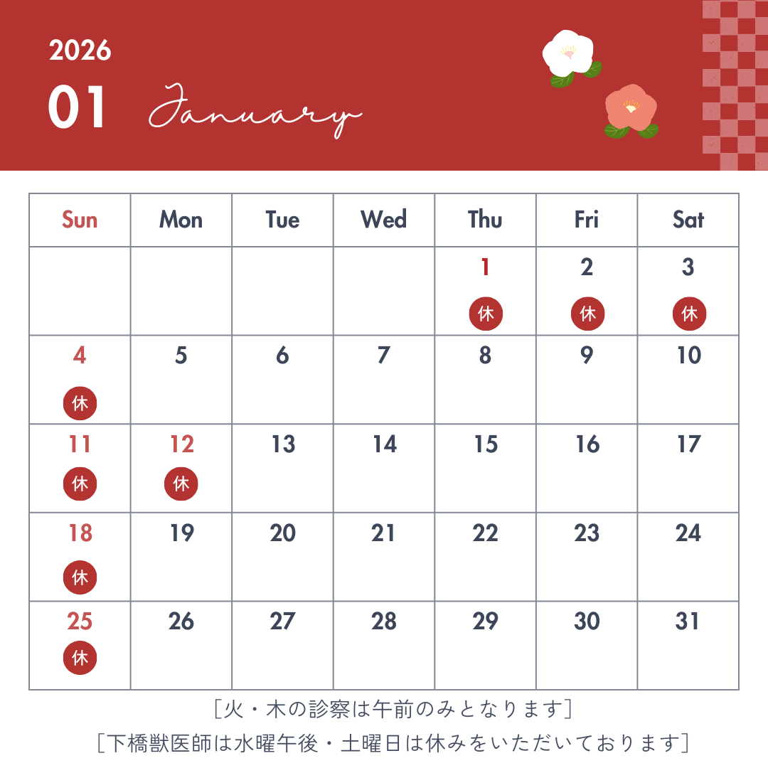 1%e6%9c%88%e3%81%ae%e8%a8%ba%e7%99%82%e6%a1%88%e5%86%85