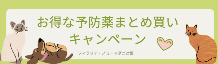 スクリーンショット 2026-01-13 125226