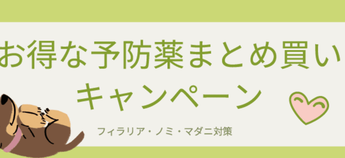 スクリーンショット 2026-01-13 125226