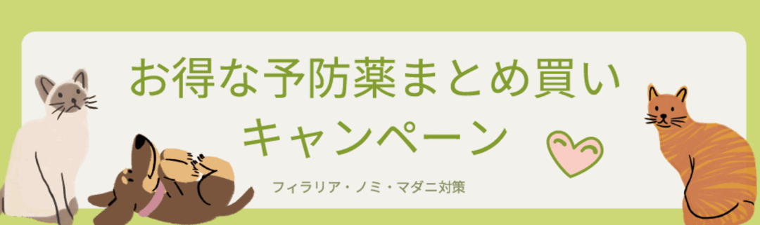 スクリーンショット 2026-01-13 125226