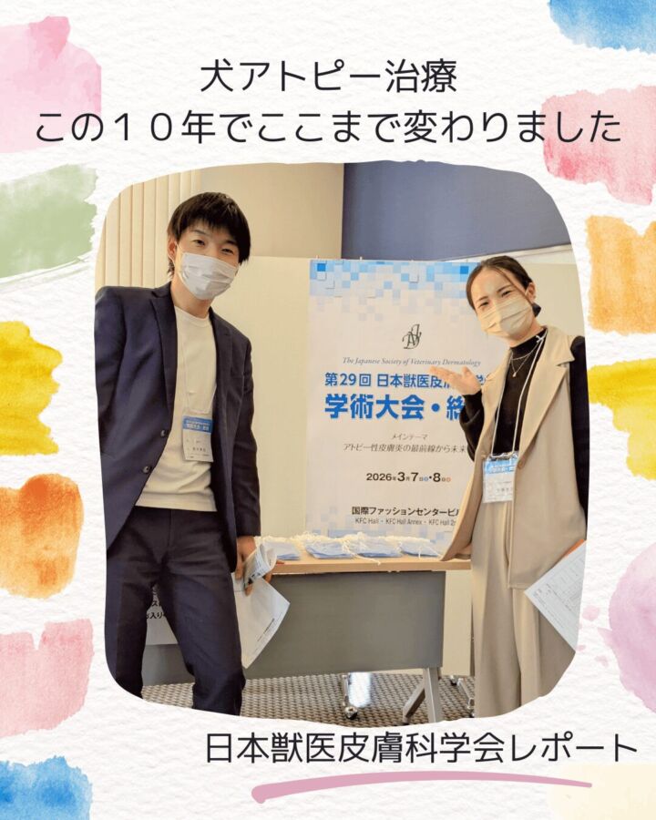 %e7%8a%ac%e3%82%a2%e3%83%88%e3%83%94%e3%83%bc%e6%80%a7%e7%9a%ae%e8%86%9a%e7%82%8e%e3%81%ae%e6%9c%80%e6%96%b0%e6%b2%bb%e7%99%82%e3%81%ab%e3%81%a4%e3%81%84%e3%81%a6%ef%bc%88%e6%97%a5%e6%9c%ac%e7%8d%a3