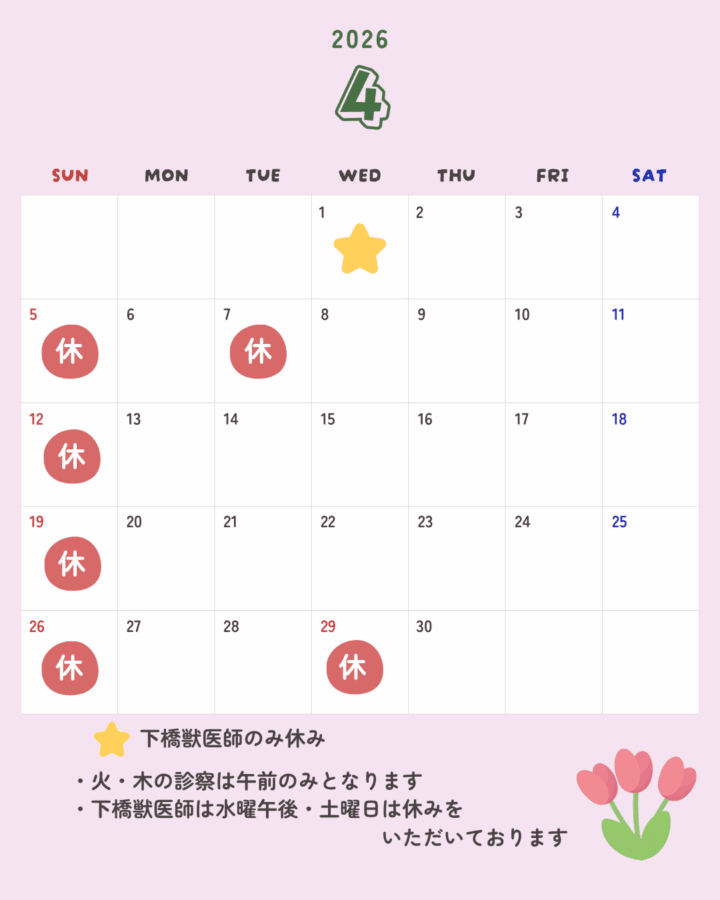 4%e6%9c%88%e3%81%ae%e8%a8%ba%e7%99%82%e6%a1%88%e5%86%85