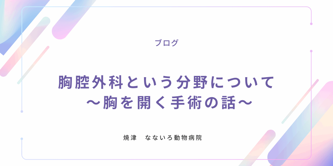 異物による腸閉塞と手術について (1)