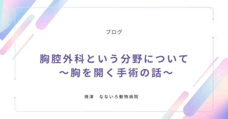 異物による腸閉塞と手術について (1)