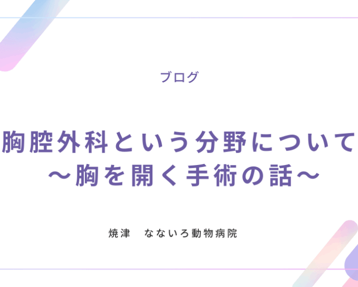異物による腸閉塞と手術について (1)