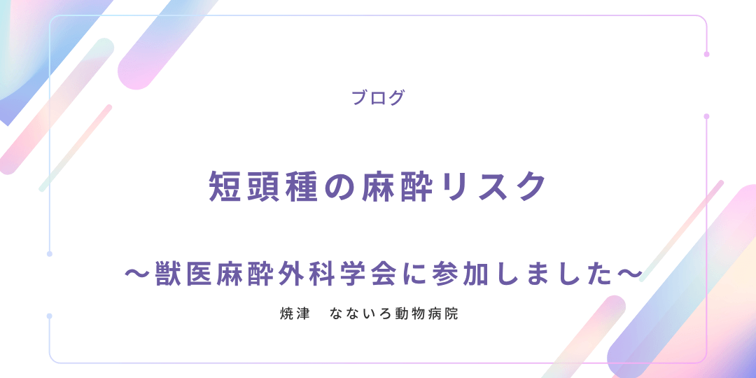 異物による腸閉塞と手術についてのコピー (1)