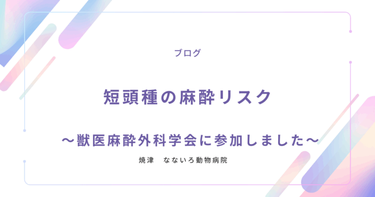 異物による腸閉塞と手術についてのコピー (1)
