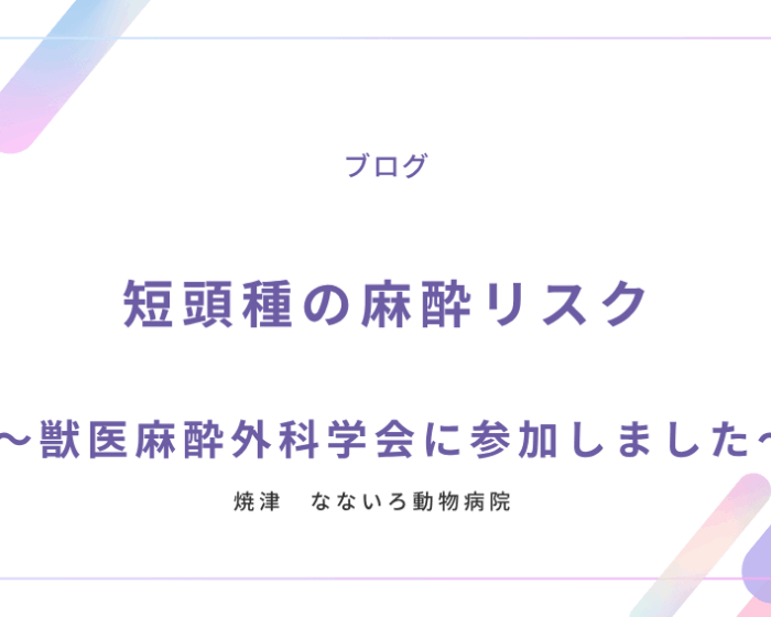 異物による腸閉塞と手術についてのコピー (1)